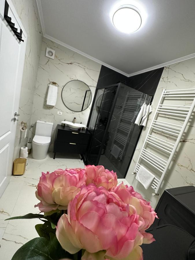 Apartament Bisera טימישוארה מראה חיצוני תמונה